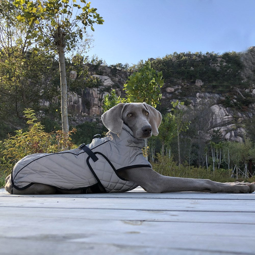 Why Your Pet Needs the Full Body Reflective Tactical Jacket