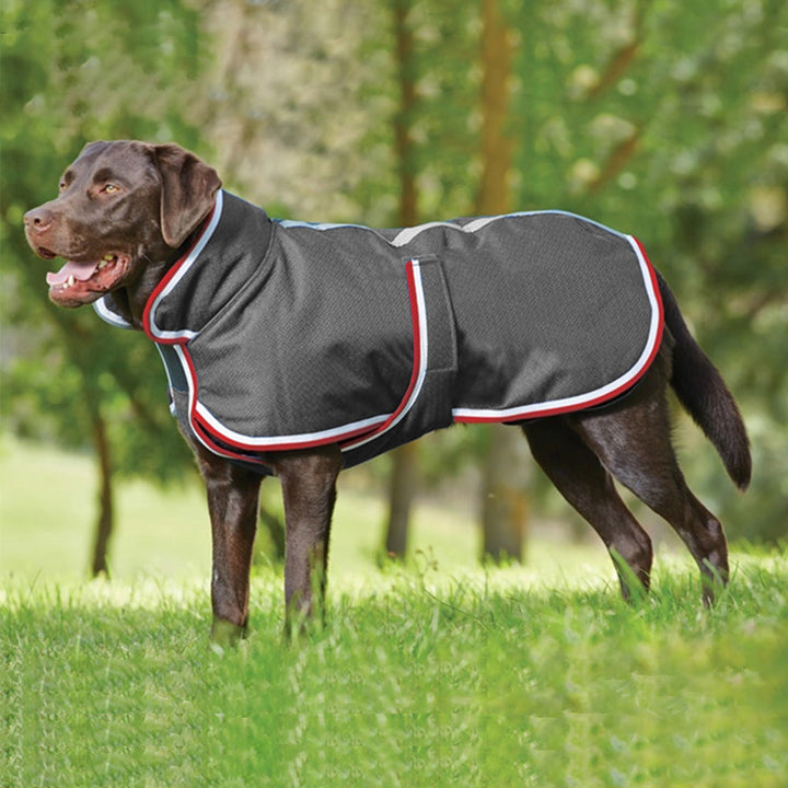 Keep Your Pet Cozy this Season with Our Waterproof Jacket