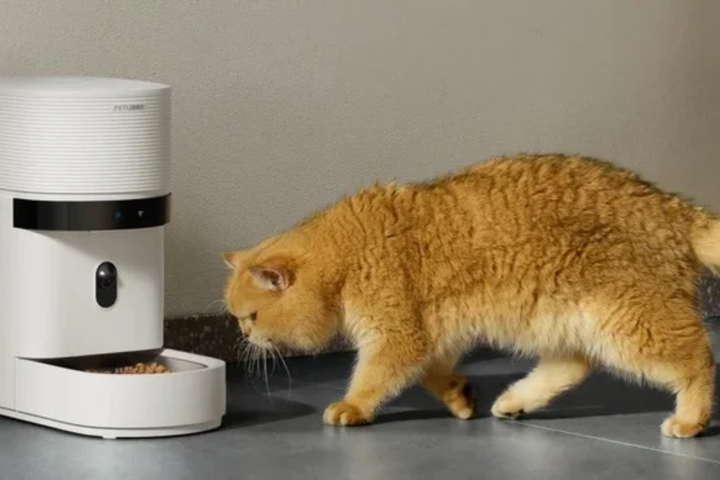 Convenient Pet Feeding Essentials