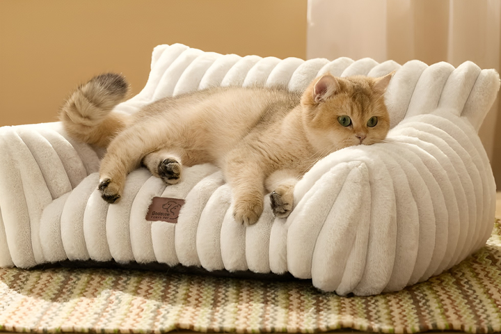 Comfortable Pet Beds for Restful Days