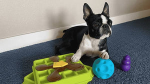 Fun and Engaging Pet Toys